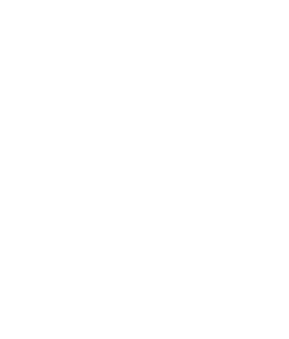 Viibr